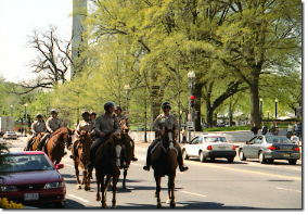 市内を闊歩する騎馬警官隊