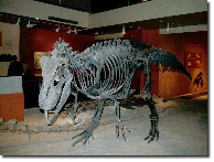 これはアロサウルス