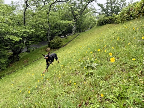 斜面を走る 斜面を走る