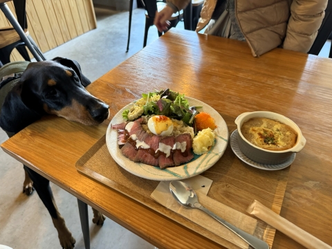 ナンシーの料理に釘付け ナンシーの料理に釘付け