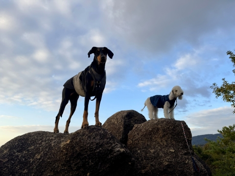 �z�؂�����