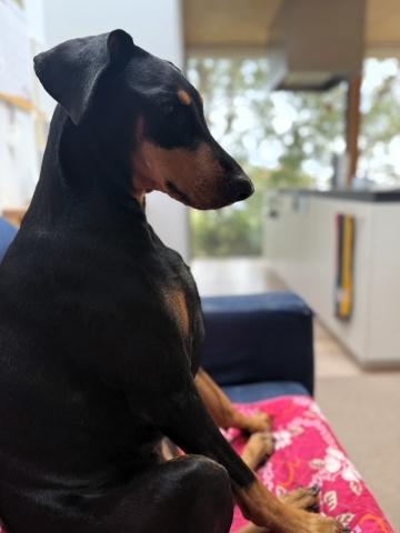 �V�b�e�B���O���̈�R�}