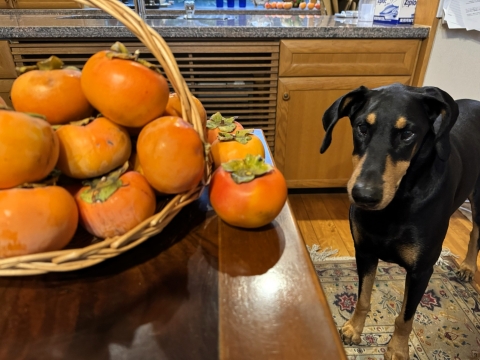 �`�������