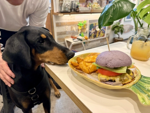 �n���o�[�K�[