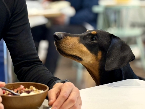 �u�A�T�C�[�{�E�����������v