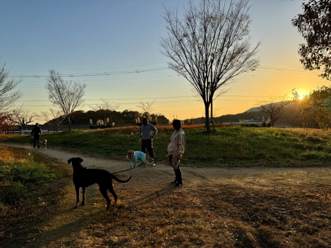 皆で散歩 皆で散歩