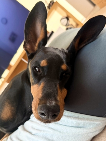 �V�b�e�B���O���̈�R�}