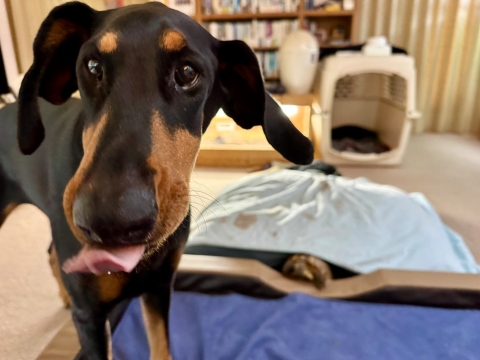 �Ȃ񂾂��̊�́@���ɂ̓V���{��