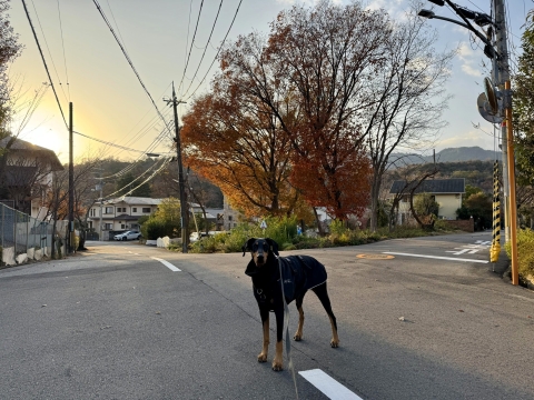 �҂ő҂�����