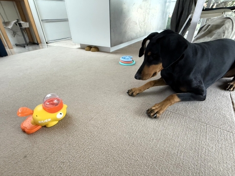 F����̃V�b�e�B���O����U�I��