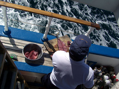船上でクルーが魚を捌いていた
