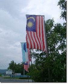 これがマレーシア国旗