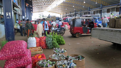 地元の青果市場