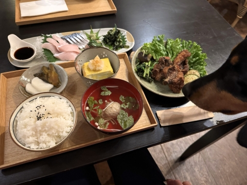 YӐg̗DH