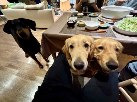 私のところに来る 私のところに来る