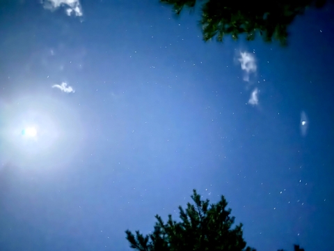 暗くなってきた空に光る星々 暗くなってきた空に光る星々