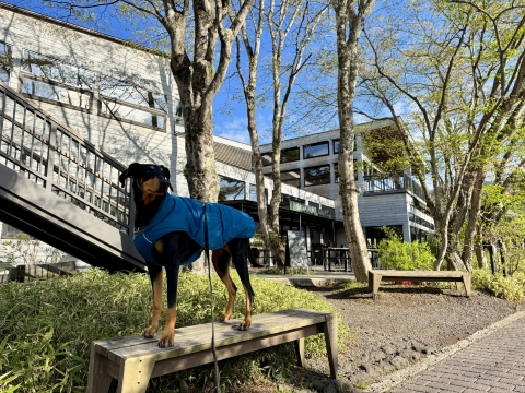 沢村にやってきた 服を着た方が良い気温 沢村にやってきた 服を着た方が良い気温