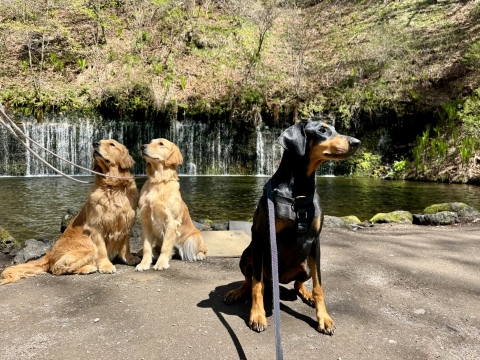 白糸の滝に行ってみた 白糸の滝に行ってみた