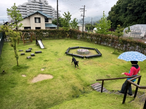 お母ちゃんはワンプロ無理やで お母ちゃんはワンプロ無理やで