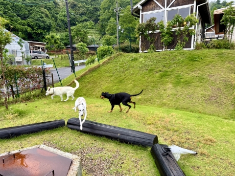 探索中 探索中