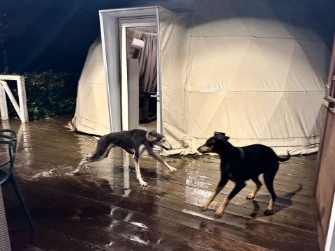 雨の中デッキでつるつる滑りながらワンプロ 雨の中デッキでつるつる滑りながらワンプロ