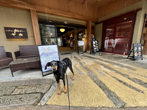 宿が併設されたカフェ・ドゥ・パン 宿が併設されたカフェ・ドゥ・パン