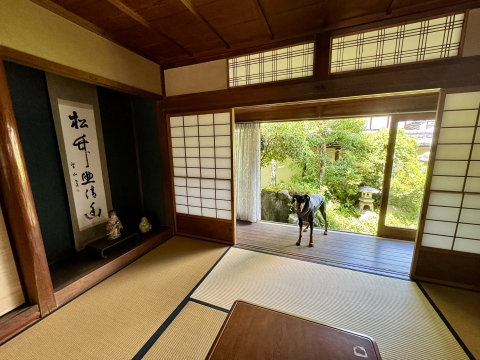 小庭に面した座敷 小庭に面した座敷