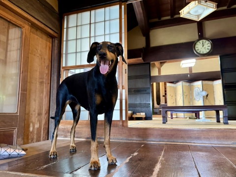 上り框の上で 上り框の上で