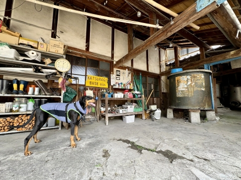 中庭に面したところに"KATSURAGI BASE"の看板 中庭に面したところに"KATSURAGI BASE"の看板