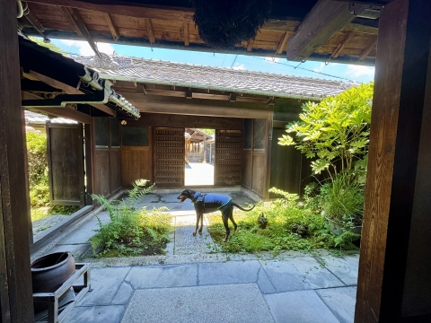 玄関周り 玄関周り