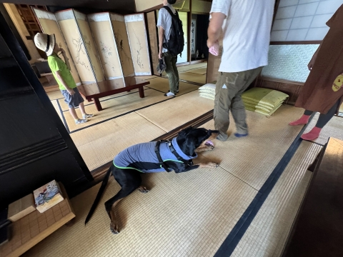 母屋の中は典型的な田の字型 母屋の中は典型的な田の字型