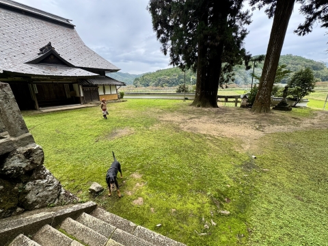 宿の横にある神社で 宿の横にある神社で