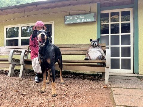 敷地内は遊び心がいっぱい 敷地内は遊び心がいっぱい