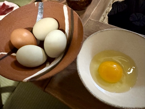 アローカナの卵 アローカナの卵