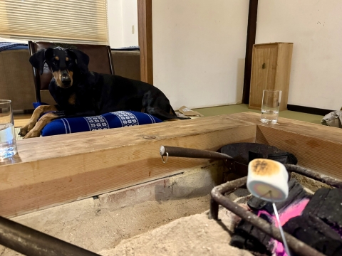 マシュマロ炙り マシュマロ炙り