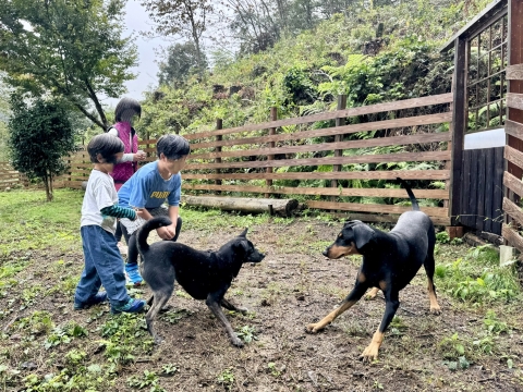 ブルーとワンプロで盛り上がる ブルーとワンプロで盛り上がる
