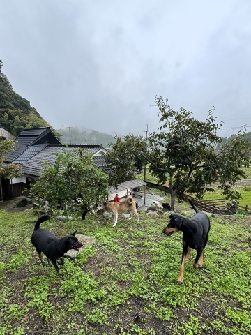 ほのぼの ほのぼの