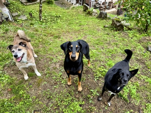 奇跡の3S 奇跡の3S