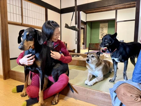 室内でもほのぼの 室内でもほのぼの