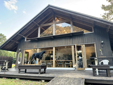 �͂����o�Ă���