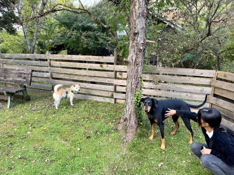 ��񂱍L���