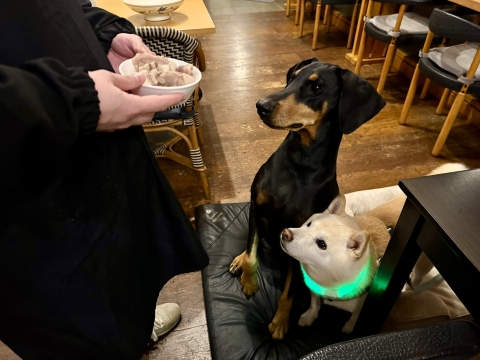 ��������Ă�����