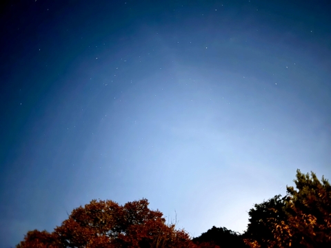 ���ɐ��@�؁X�̌��������猎�������Ă���