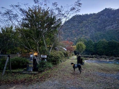 �܂����Â�