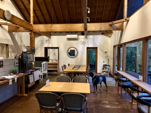 �J�t�F�����낤��