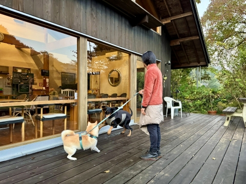 ���̃����v��