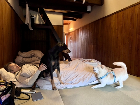 �����ł������v���@�͂����v���C�o�E