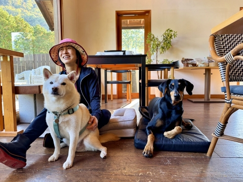 �����Ŋ���