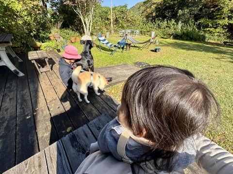 �G�̏��T�����