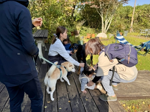 Y�ڂ������Ă���